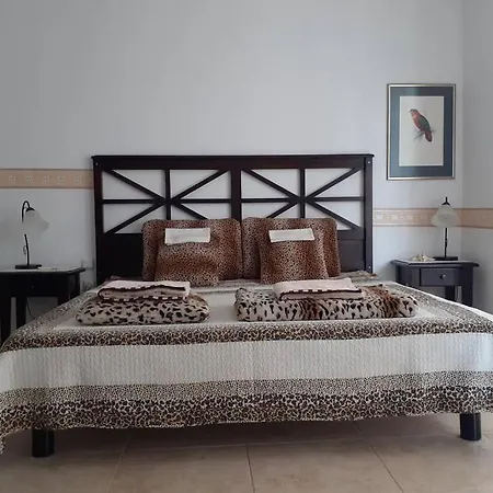 Apartment At 